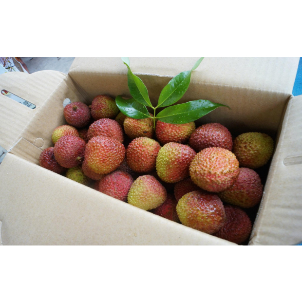 高雄大樹王城御果園_玉荷包精品禮盒3台斤裝.png