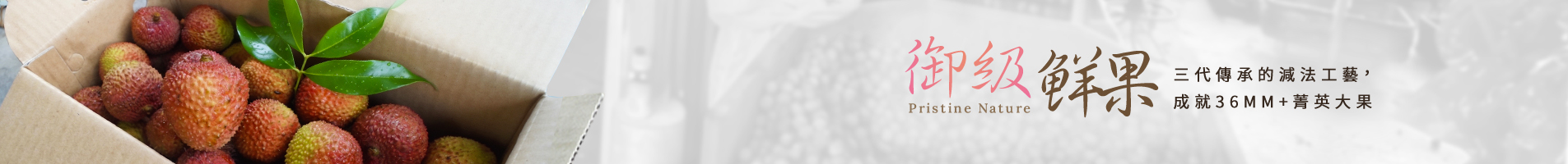banner-about.jpg